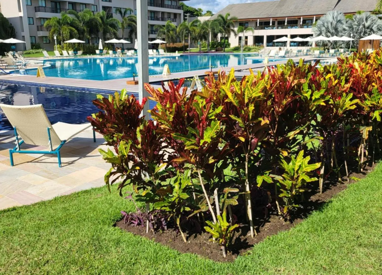 Ecolife Bangalo Beira Mar Muro Alto Pôrto das Galinhas ブラジル